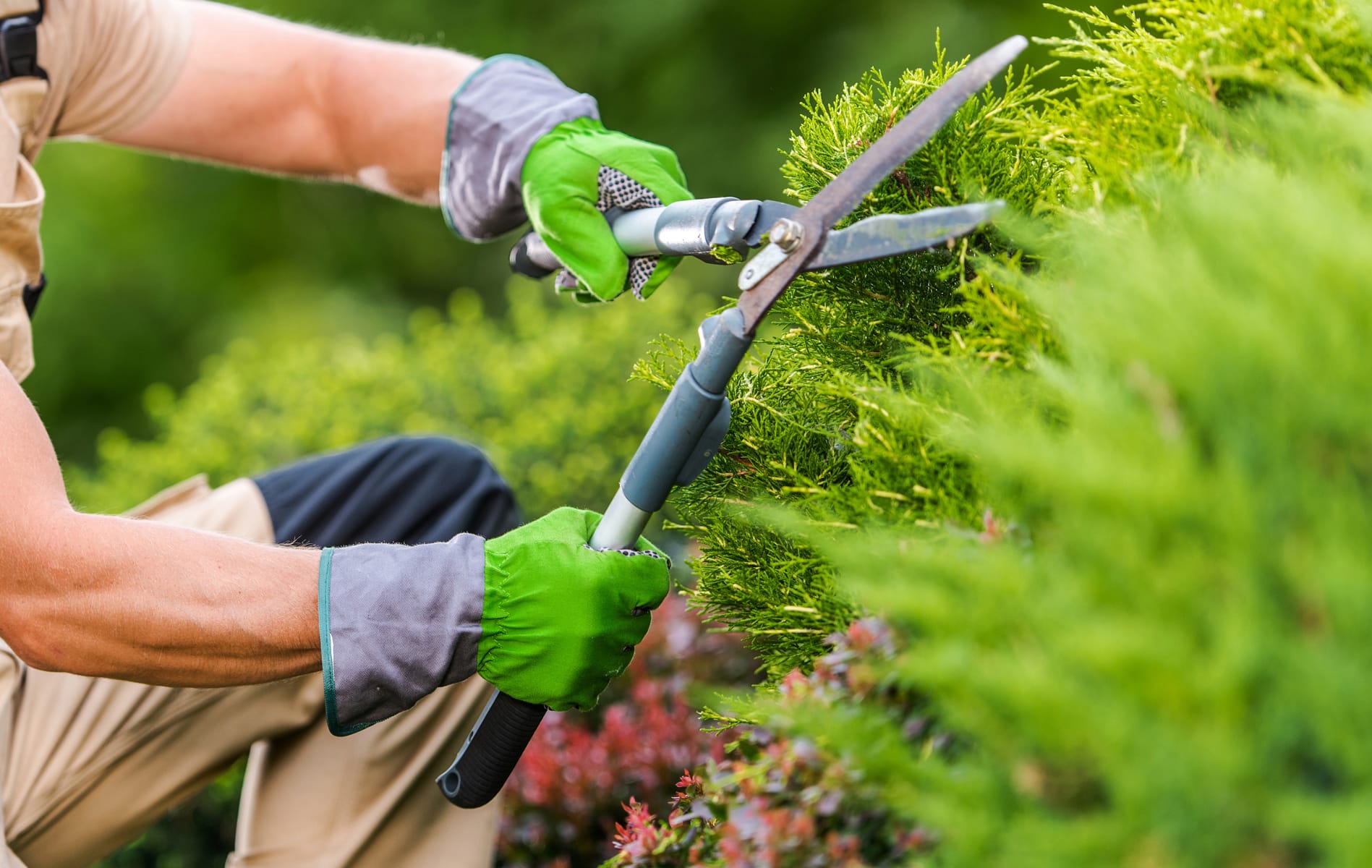 Entreprise de jardinage